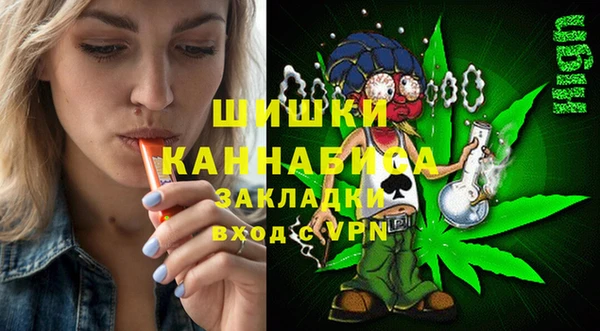 марки lsd Новозыбков