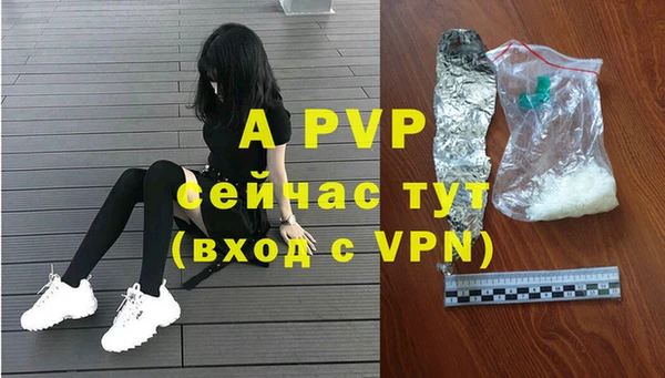 марки lsd Новозыбков