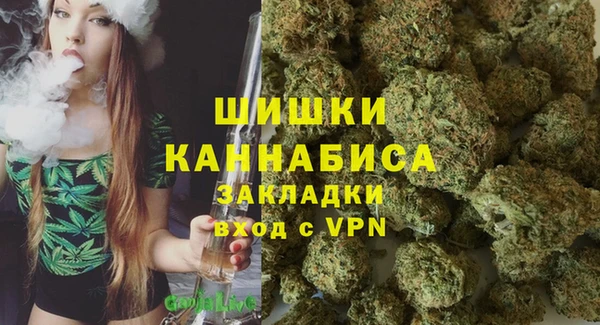 mdpv Новодвинск