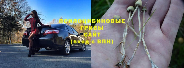 марки lsd Новозыбков