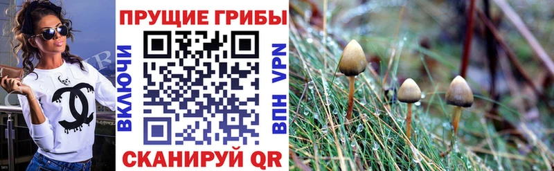 Псилоцибиновые грибы MAGIC MUSHROOMS  цена   Кущёвская 